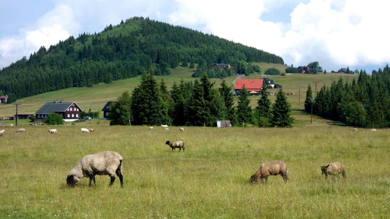 Ski - Apartment Rokytnice nad Jizerou Exteriér fotografie